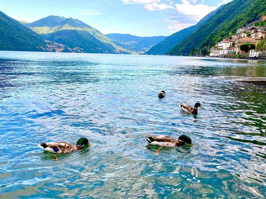 Una Finestra Sul Lago Argegno Bagian luar foto